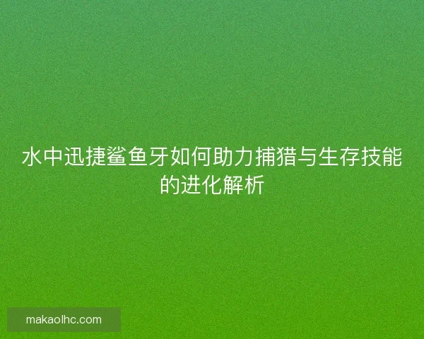 水中迅捷鲨鱼牙如何助力捕猎与生存技能的进化解析