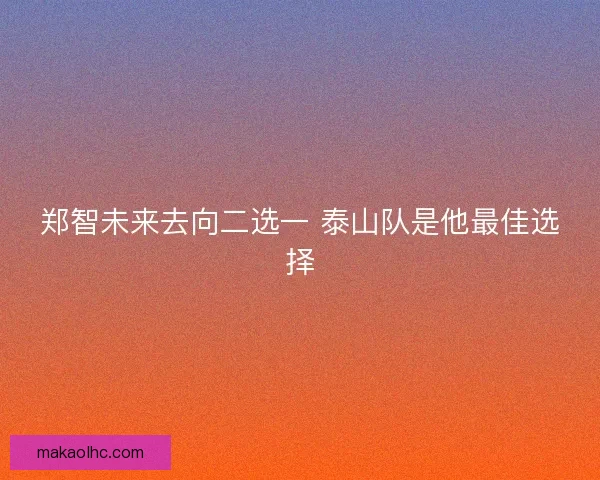 郑智未来去向二选一 泰山队是他最佳选择