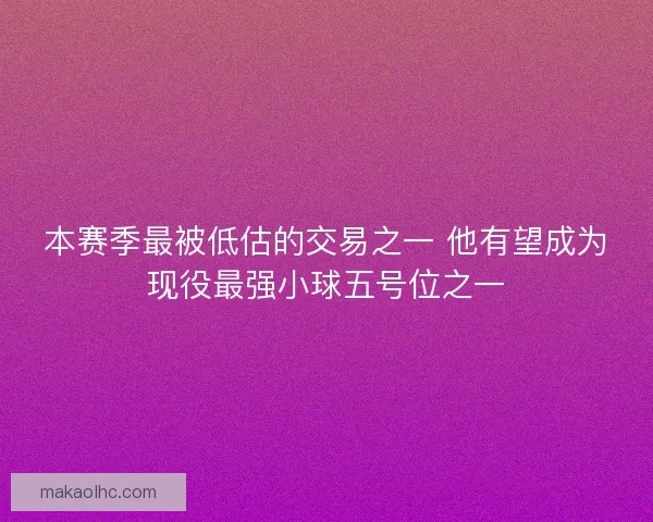 本赛季最被低估的交易之一 他有望成为现役最强小球五号位之一