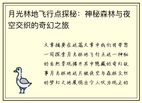 月光林地飞行点探秘：神秘森林与夜空交织的奇幻之旅